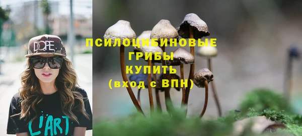 MDMA Premium VHQ Магадан