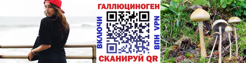 Псилоцибиновые грибы Psilocybine cubensis  OMG зеркало  Надым 