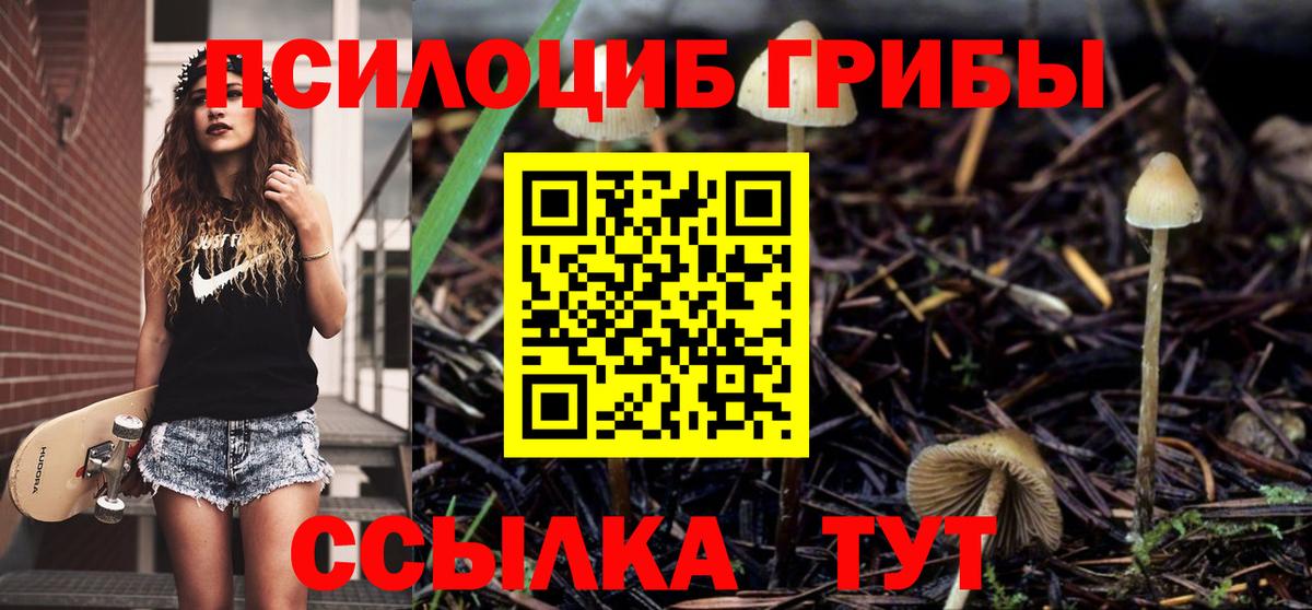 Псилоцибиновые грибы Magic Shrooms  Надым 