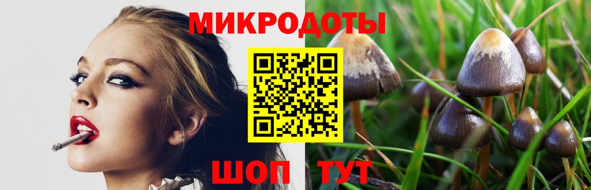 Галлюциногенные грибы GOLDEN TEACHER Надым