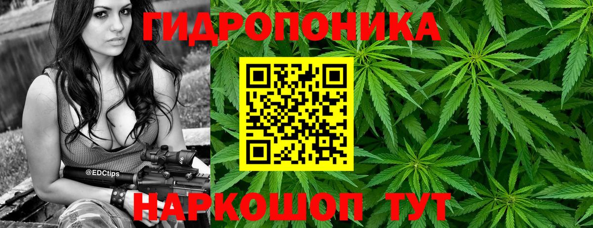 Бошки Шишки OG Kush Надым